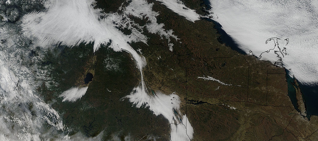 MODIS TERRA image crop