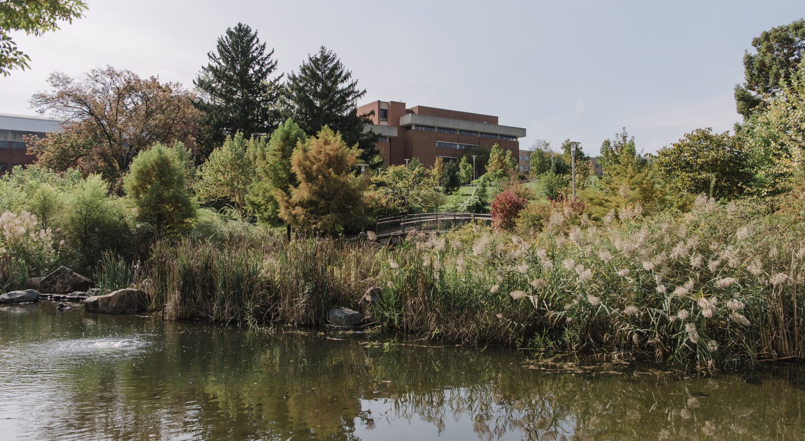 Major UMBC Stream Restoration Will Enhance Ecosystems Stormwater 