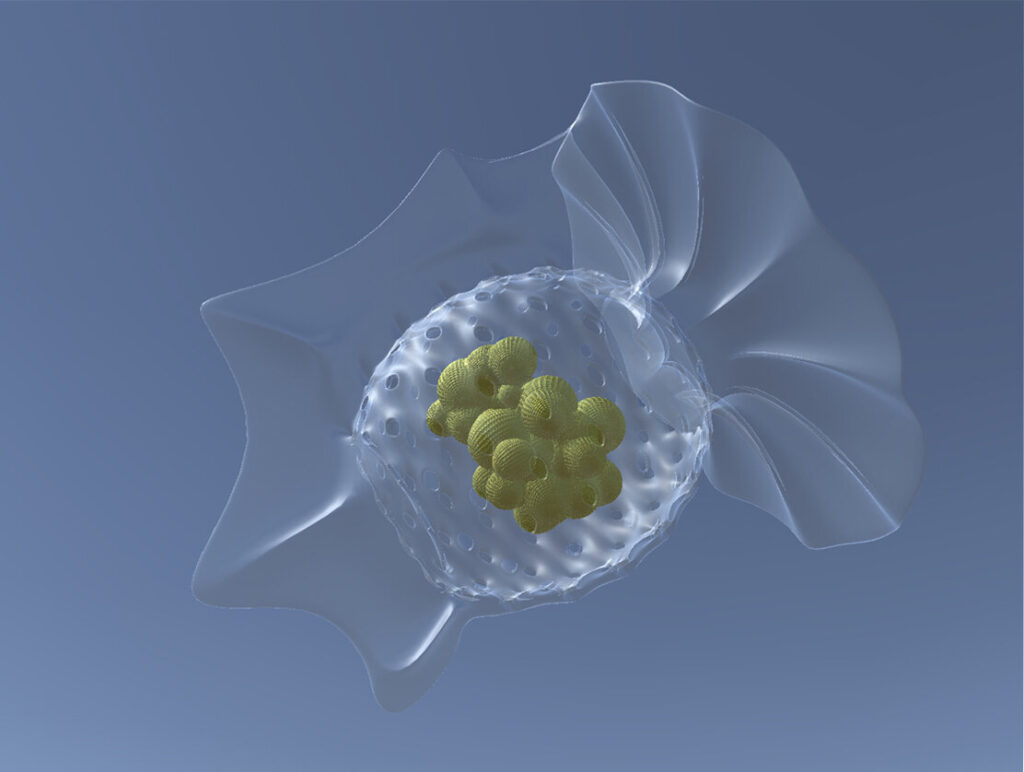 An image of a dinoflagellate, a microscopic organism that lives underwater.